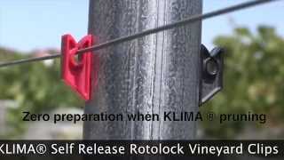 Klima Self Release Rotolock Vineyard Clips [upl. by Trub56]