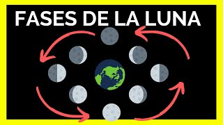 CUÁLES son las FASES de la LUNA 🌙 [upl. by Resarf]