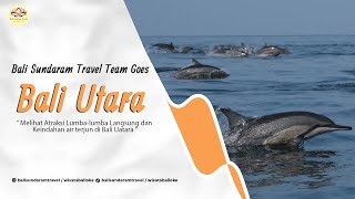 BALI SUNDARAM TEAM ENJOYING THE BEAUTY OF TOURISM IN NORTH BALI travel lovina dolphin [upl. by Greenes]