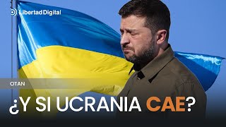 🇺🇦​ UCRANIA  La OTAN se verá arrastrada a una guerra con Rusia quotsi Ucrania caequot [upl. by Sibell]