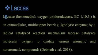 Screening of laccase activity of some wild edible mushrooms [upl. by Nerte]