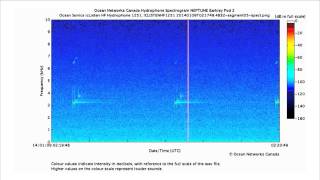 Sonar Pings and Sweeps [upl. by Nwahsaj363]