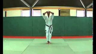 5 Bassai Dai Kata Kumite Bunkai Didier Lupo [upl. by Winters874]