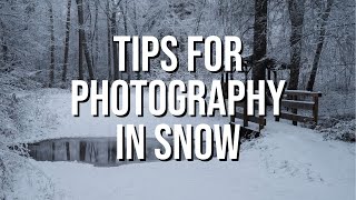 Tips for Winter Photography in Snow  Woodland [upl. by Sisak600]