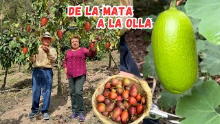 La PANDEMIA les obligo a SALIR de la CIUDAD y a CREAR su propio PARAÍSO 🍑🏡 Josué y Elie [upl. by Nevin]