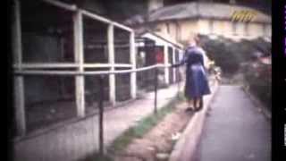 Bideford Zoo north Devon England 1969ish old cine film [upl. by Bik]