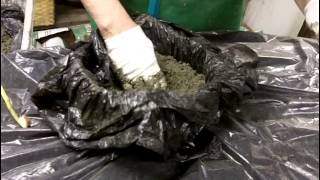 Hypertufa How to make a planter [upl. by Oberheim]