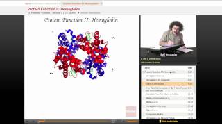 quotProtein Function Hemoglobinquot  Biochemistry with Educatorcom [upl. by Bergess]