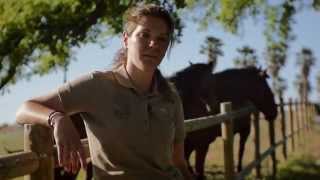 Nina Krasny  Lusitano World Client Testimonial [upl. by Chaddie250]