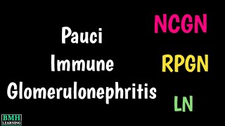 PauciImmune Necrotizing amp Crescentic Glomerulonephritis  NCGN  PauciImmune Glomerulonephritis [upl. by Eenaej954]