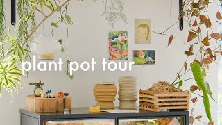 Plant Pot Tour  my ceramics collection [upl. by Demetrius]