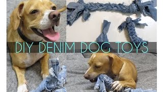 DIY Dog Chew Toys  SugarStilettosStyle [upl. by Julina567]