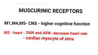 Muscurinic Receptors [upl. by Akinom]