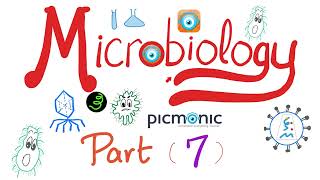 Microbiology Gram   Hemophilus Bordetella Pasturella Brucella Francisella Picmonic Part 7 [upl. by Ezirtaeb]