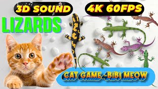 CATS TV  Fast 3D Lizard 🦎🙀 Game for cats amp dogs 😻📺🐶 4K [upl. by Zoi]