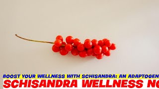 Boost Your Wellness with Schisandra An Adaptogenic Powerhouse [upl. by Ymeon]