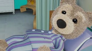 Little Charley Bear  Patient Charley  Charley Bear Full Episodes [upl. by Ocirederf]