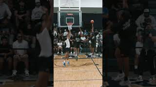 Almost Touching Top Of The Backboard With 2 Hands Is RIDICULOUS [upl. by Ardnajela]