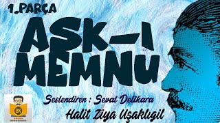 Aşkı Memnu  Halit Ziya Uşaklıgil Sesli Kitap 1Parça Seval Delikara [upl. by Anne-Corinne465]