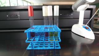 Fermentation of Carbohydrates [upl. by Sherry]