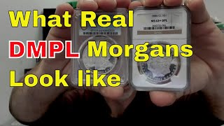 What A Real DMPL Morgan Dollar Looks Like Deepest Mirrors [upl. by Abbottson]