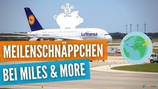 50 Rabatt mit Miles amp More Meilenschnäppchen auf Prämienflügen  Tipp vom TravelInsider [upl. by Laehcim]