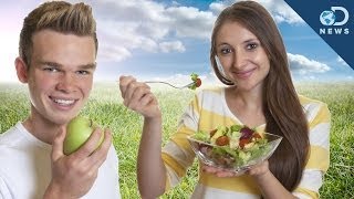 Are Vegetarians Better for the Environment [upl. by Codi]