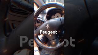 Peugeot 206 feline peugeot [upl. by Anyahc]