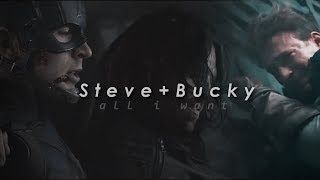 steve x bucky stucky  all i want [upl. by Kurr]