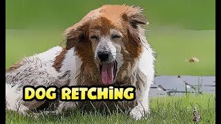 What is Retching in Dogs Gagging and Throwing Up [upl. by Sile]