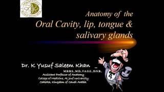 Anatomy lecture on Oral Cavity amp Salivary glands Complete  Dr Yusuf [upl. by Kama]