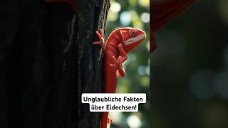 Unglaubliche Fakten Über Eidechsen tiere shorts facts fakten newvideo eidechse reptiles [upl. by Trilbee]