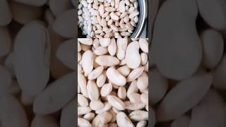 Cómo hacer Frijoles Como hacer Porotos Blancos o Porotos Pallares frijoles proteinavegetal [upl. by Vassaux]