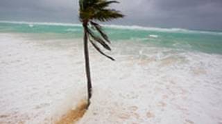 Hurricane Igor Giant Waves Video  Elbow Bay Beach Bermuda [upl. by Eceinhoj927]