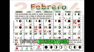 Como Sembrar Con LA LUNA febrero 2024 cultivar con fases lunares calendario lunar [upl. by Atilrep]