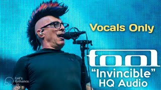 TOOL  Invincible Vocals Only [upl. by Ahsiekit585]