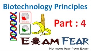 Biology Biotechnology Principles part 4 Disadvantage of traditional Hybridization class 12 XII [upl. by Lowney]