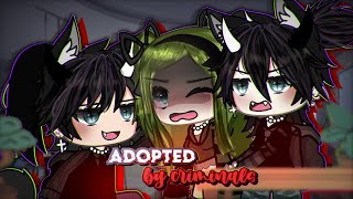 Adopted by CRIMINALS ⁉️  Gacha Life  GLMM  Mini Movie  ORIGINAL [upl. by Ranna]