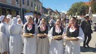 Vinkovci Autumn Festival 2022 The Main Parade  Pride and Diversity [upl. by Tufts]