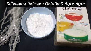 Difference between Gelatin and AgarAgar  Gelatin Powder Kya hai  Homemade Halal Gelatin [upl. by Noeruat]