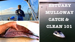 ESTUARY MULLOWAY HOW TO CATCH amp CLEAN 101 [upl. by Riddle]