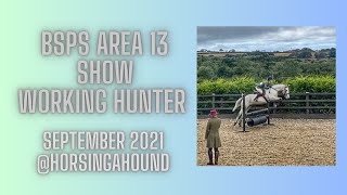 BSPS Area 13 Show  Working Hunter [upl. by Nnyroc]