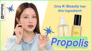 Comparison of Propolis Ampoules by KBeauty Brands 🍯💥 l Before You Buy [upl. by Hildebrandt]