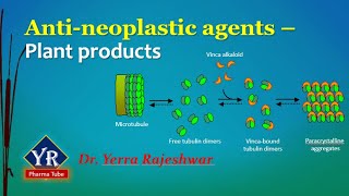 Antineoplastic agents  Plant products  Etoposide  Vinblastine  Vincristine  YR Pharma Tube [upl. by Nirrak]