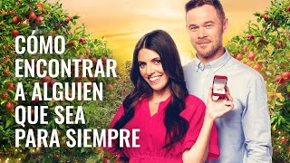 Cómo encontrar a alguien que sea para siempre  Peliculas Completas en Español Latino [upl. by Wedurn]