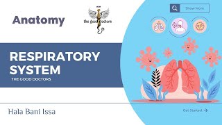 Development of respiratory system  Embryology RS [upl. by Anerat]