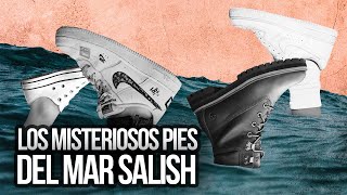 El MISTERIO de los PIES HUMANOS encontrados en el MAR SALISH [upl. by Renner]