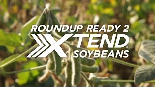 Asgrow® Roundup Ready 2 Xtend® System [upl. by Kampmann455]