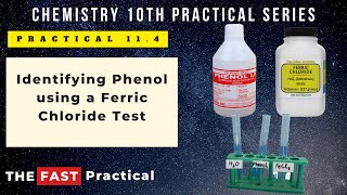 Chemistry 10th Practical 114 Identify Phenol using Ferric Chloride Test [upl. by Adiell973]