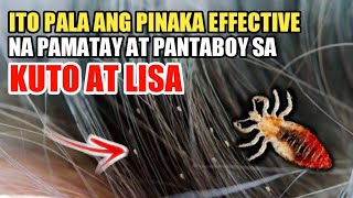 ITO PALA ANG PINAKA EPEKTIBONG PAMATAY AT PANTABOY KUTO AT LISA [upl. by Ecnarepmet]